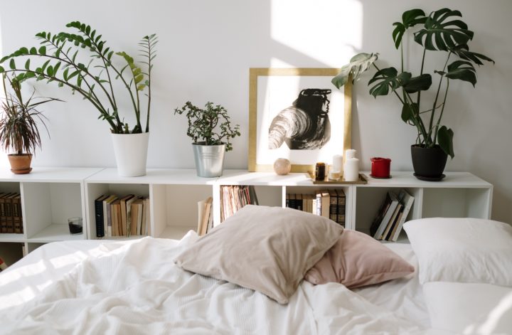 Fotografia przedstawia rośliny na półce w sypialni.