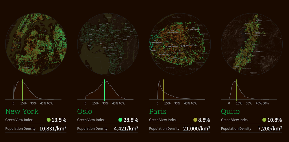 Wykresy i mapy ze strony Treepedia przedstawiające rozmieszczenie i procentowy układ roślinności w danym mieście.