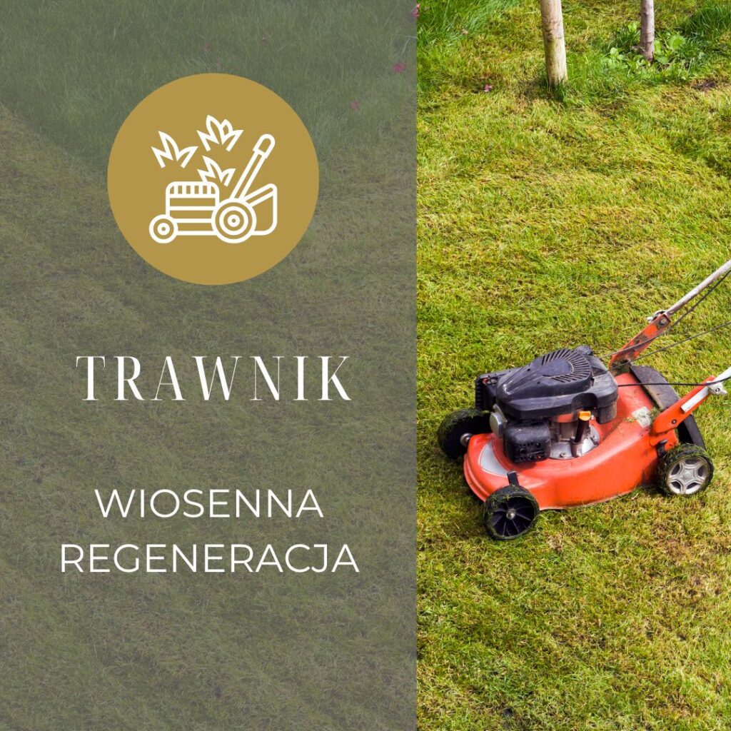 OGRODOVO - TRAWNIK - OFERTA